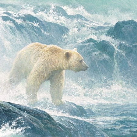 In agguato per il salmone - XXL Puzzle